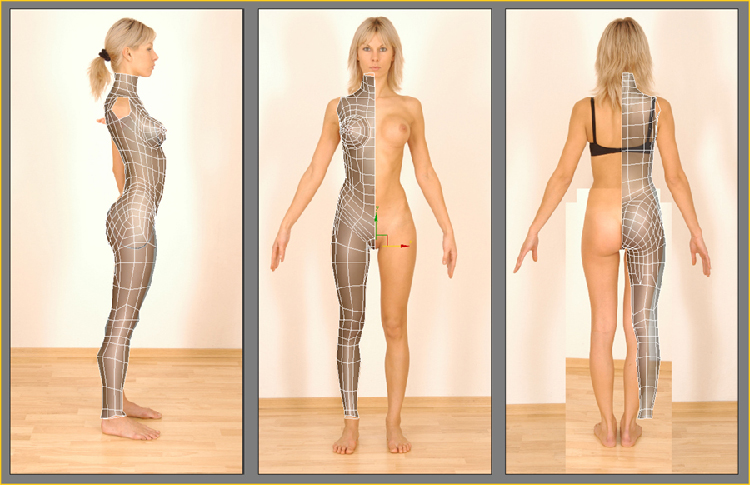 Featured image of post Blender Female Body